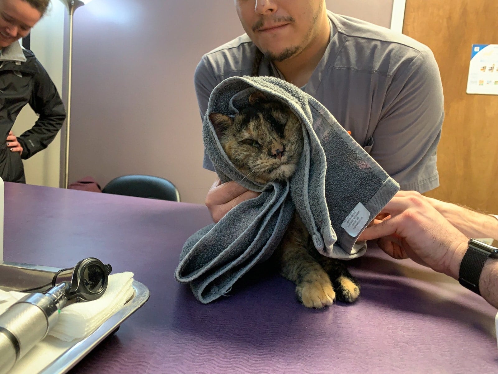 Leela wrapped in towel at vet